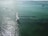 A sailboat with a white sail glides smoothly over the shimmering green water. In the distance, a small motorboat and kayakers can be seen moving across the sea under a clear sky. Sunlight reflects vividly on the surface, creating a sparkling effect.