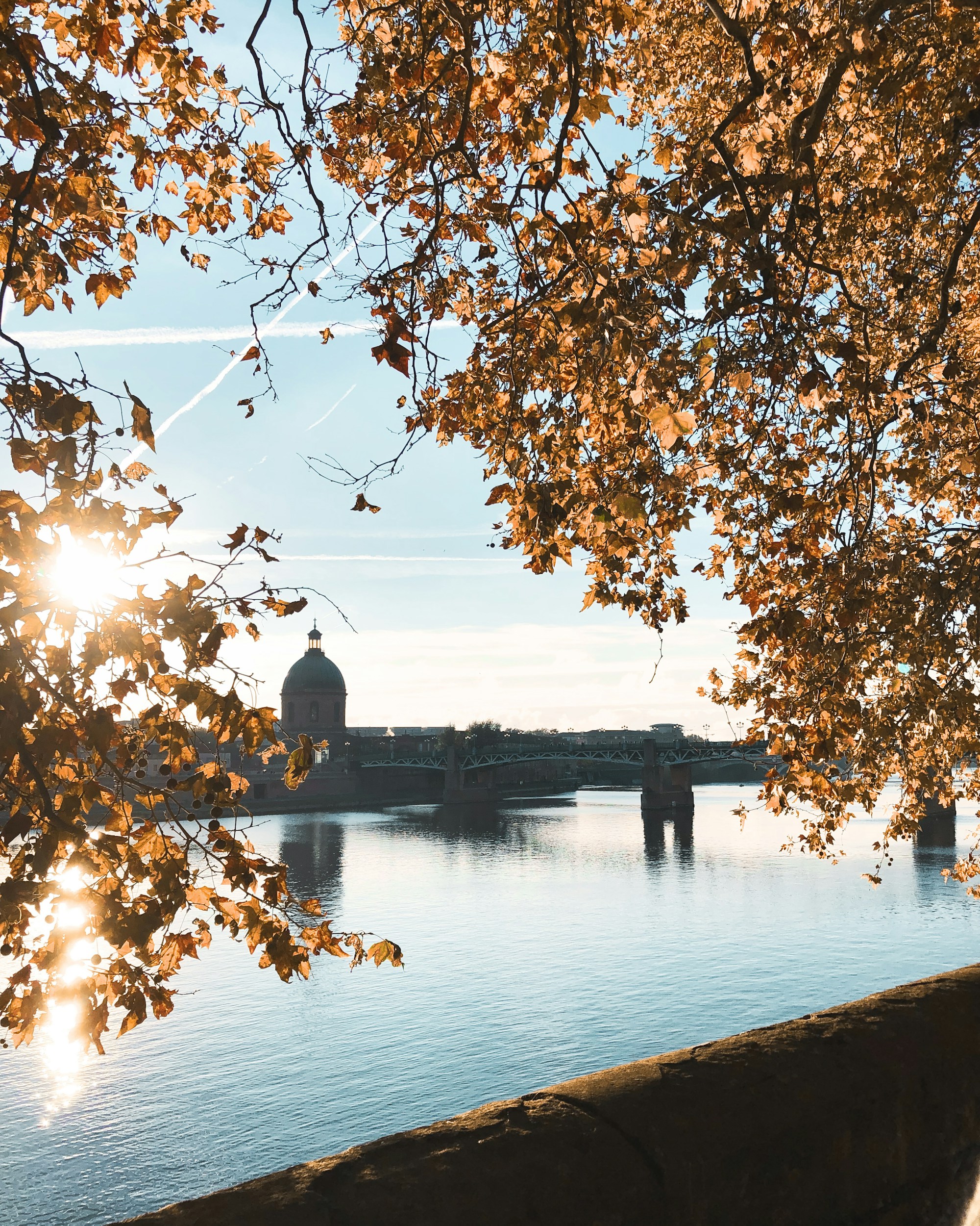 What to See in Toulouse: A Local's Guide to Must-Visit Destinations