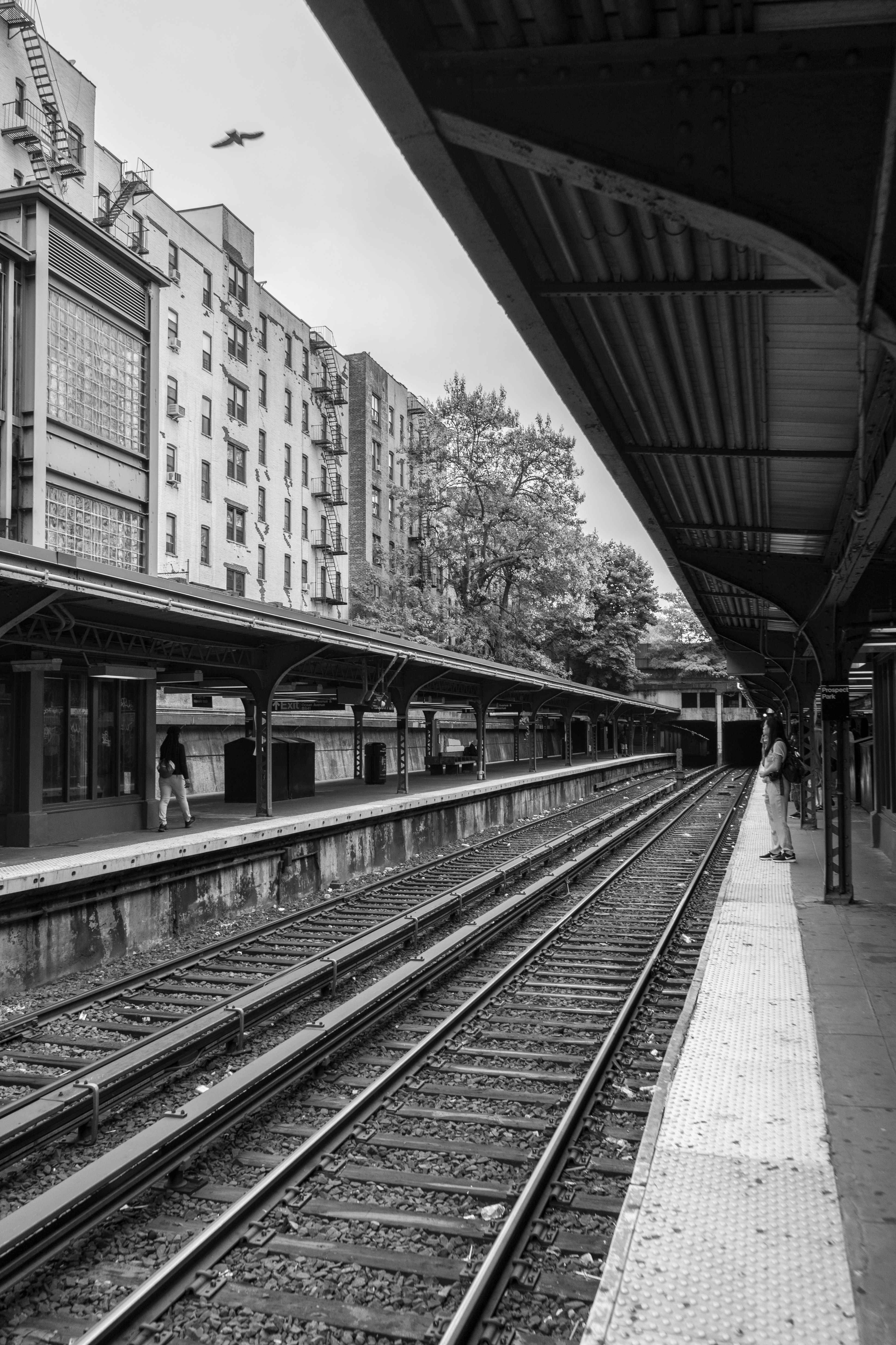 Photo by dkmoneymomo