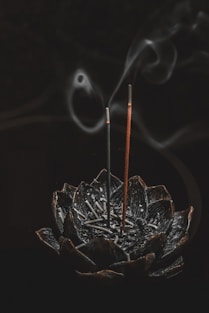 insane stick photography