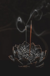 insane stick photography
