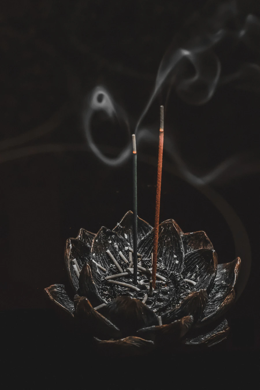 https://images.unsplash.com/photo-1541795083-1b160cf4f3d7?auto=format&fit=crop&w=900&q=80