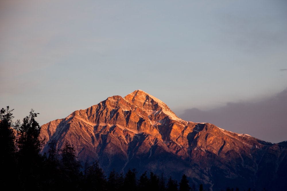 Raoge di montagna