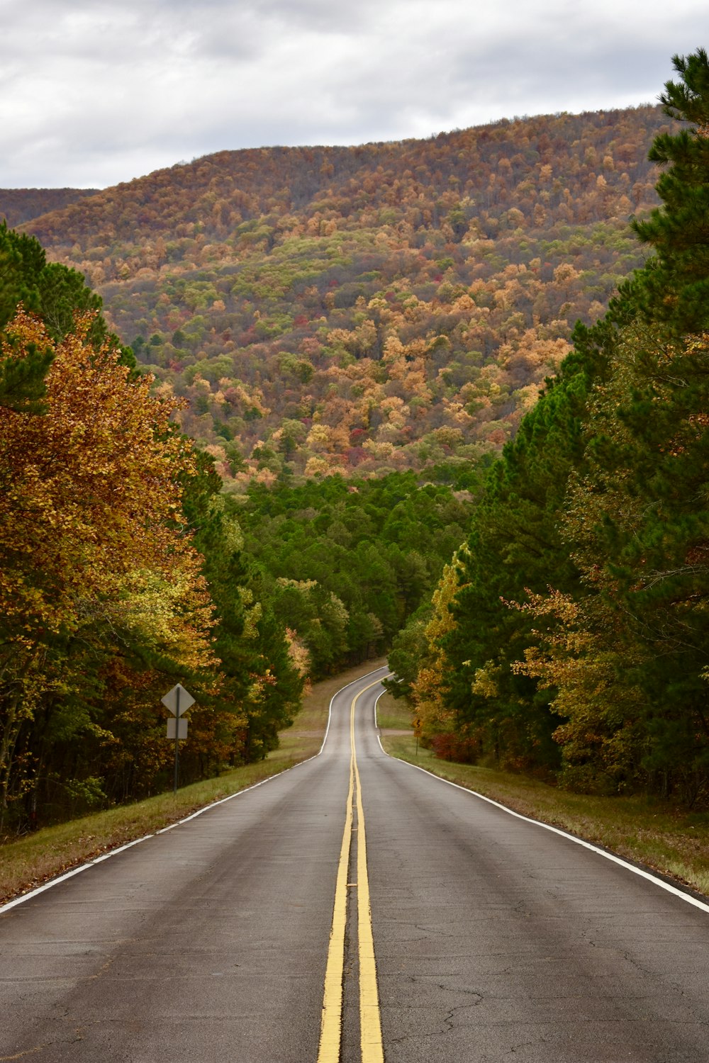 20 Road Backgrounds Hq Download Free Images On Unsplash 626 x 399 jpeg 51 kb. 20 road backgrounds hq download