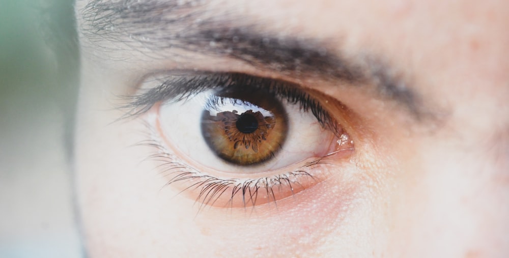person with brown eye