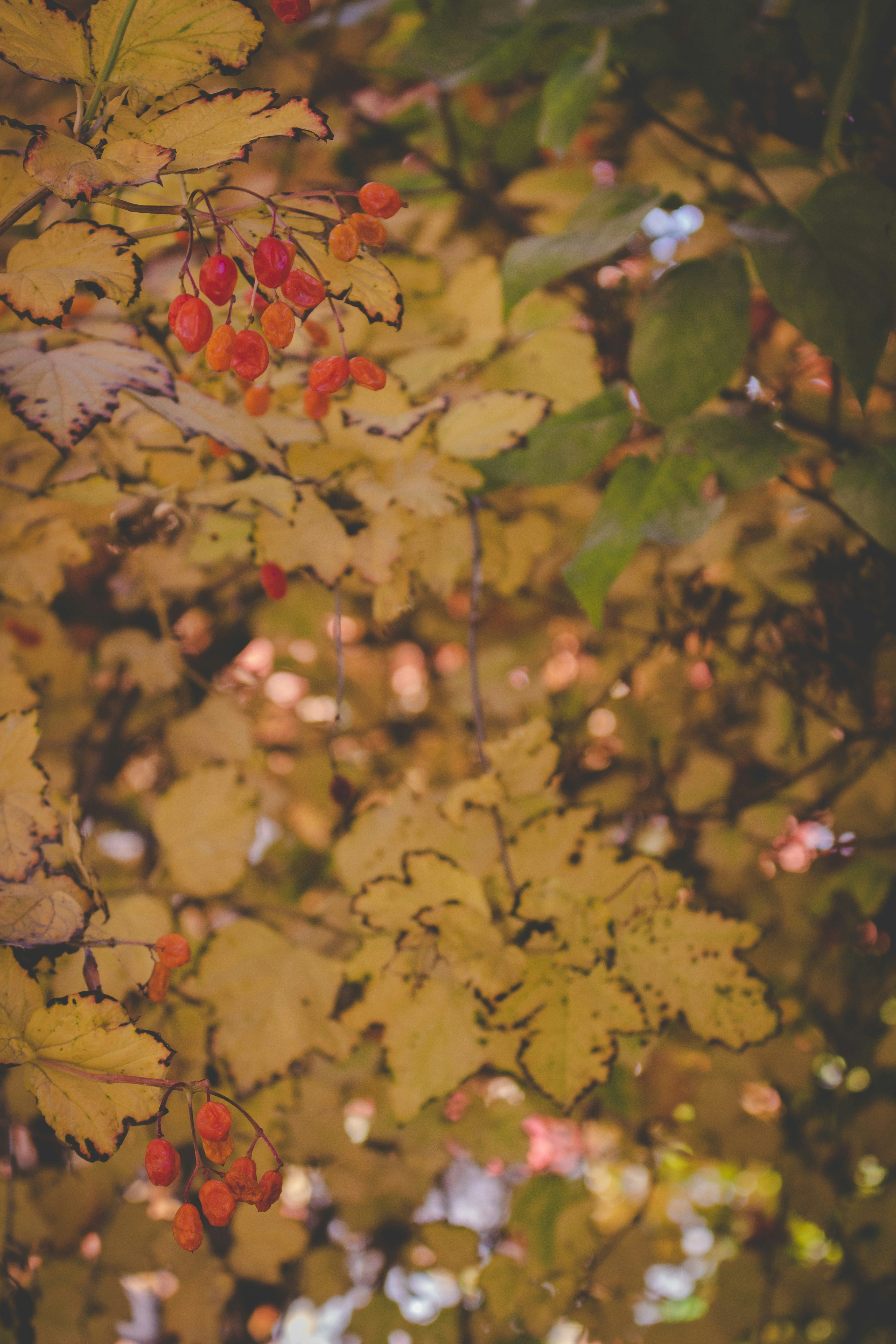 Photo by dallasreedy