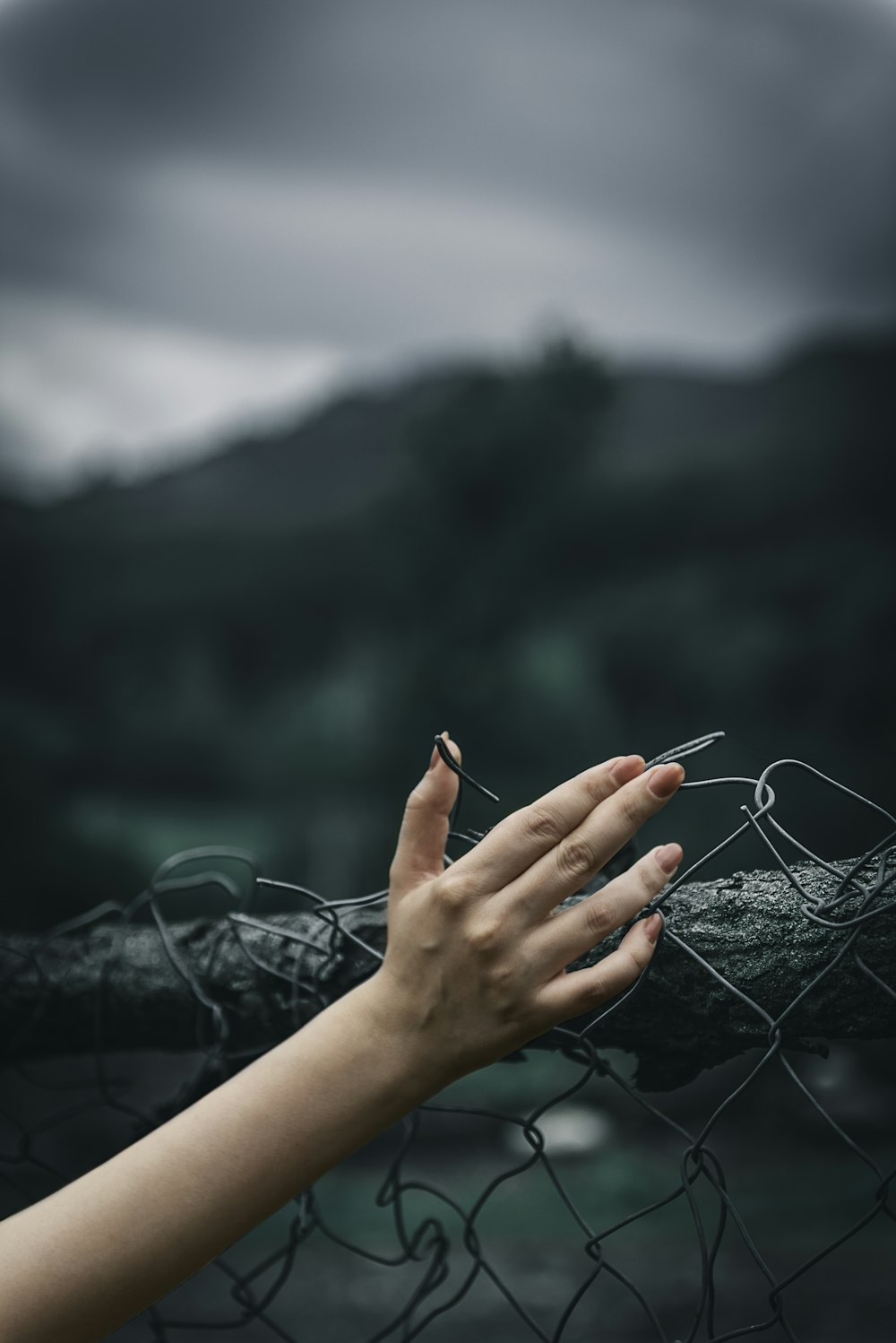 woman holding fence