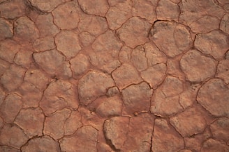 A pattern of cracked, dry earth with irregular shapes. The ground appears parched with various shades of brown, suggesting a lack of moisture.