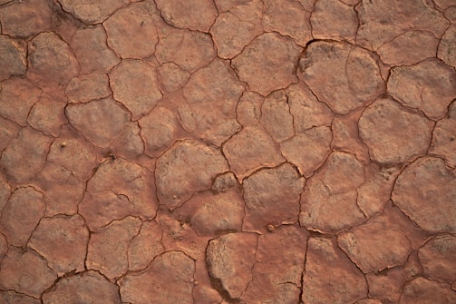 A pattern of cracked, dry earth with irregular shapes. The ground appears parched with various shades of brown, suggesting a lack of moisture.