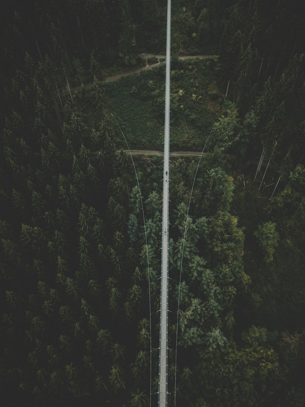 Fotografía aérea de campo con árboles