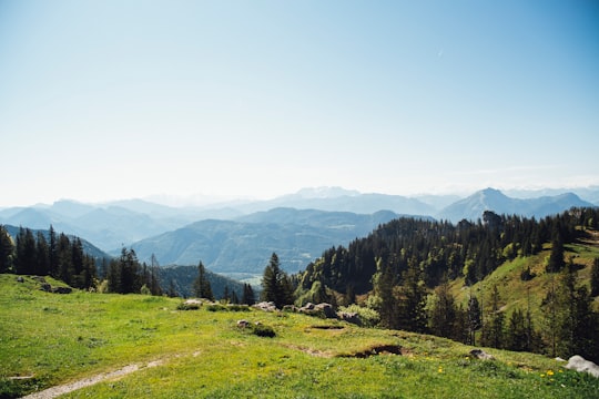 green grass field near green trees at daytime in Kampenwand Germany