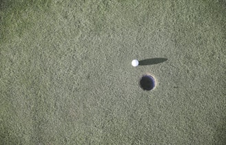 SAAG Inc image of white golf ball near hole