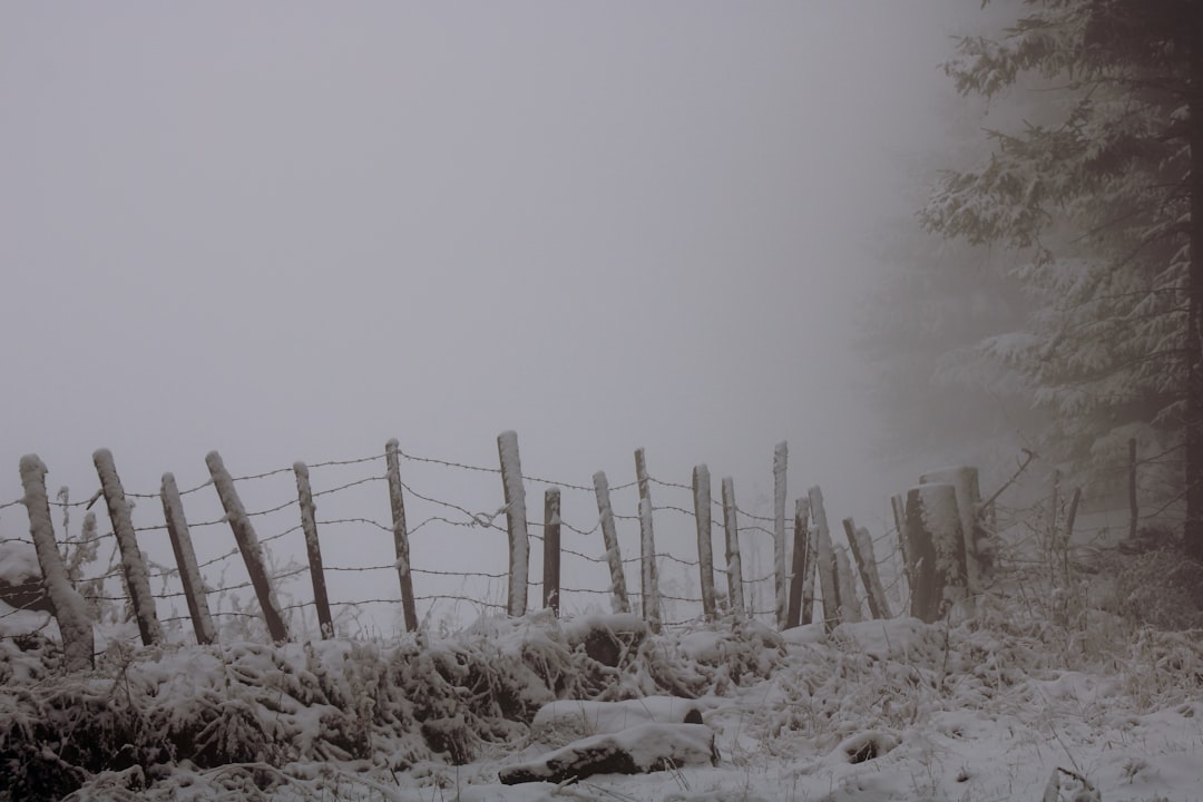 brown wooden fence