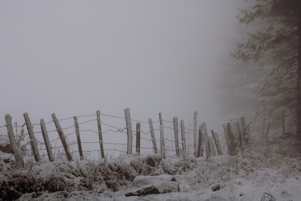 brown wooden fence