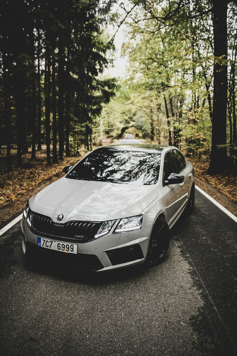 white Kia Ceed parked in tree lined road