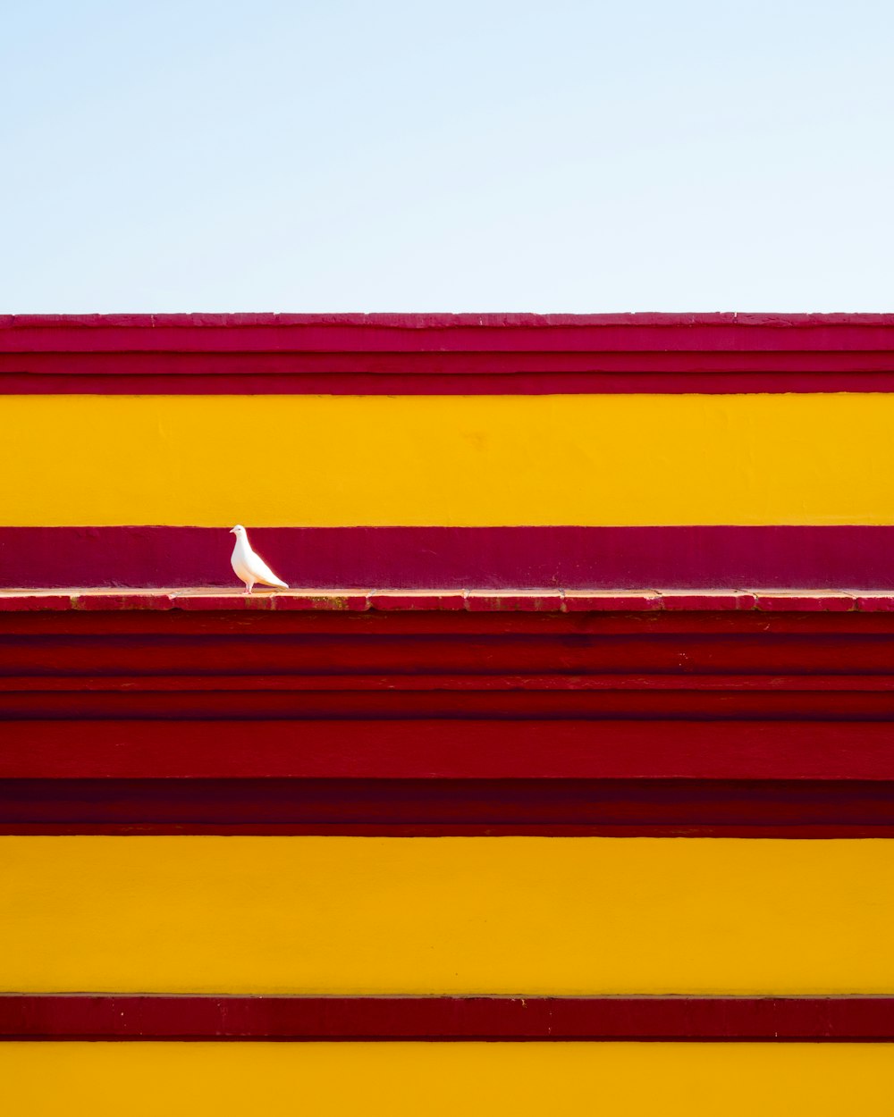a white bird sitting on top of a red and yellow building