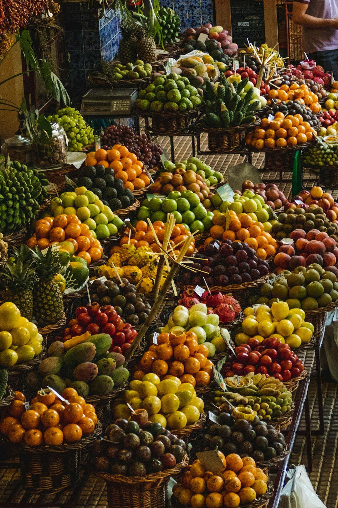 variety of foods