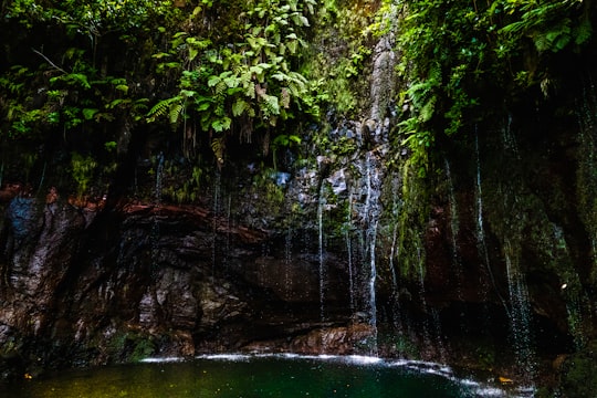 waterfalls cascading into lagoon in 25 Fontes Falls Portugal