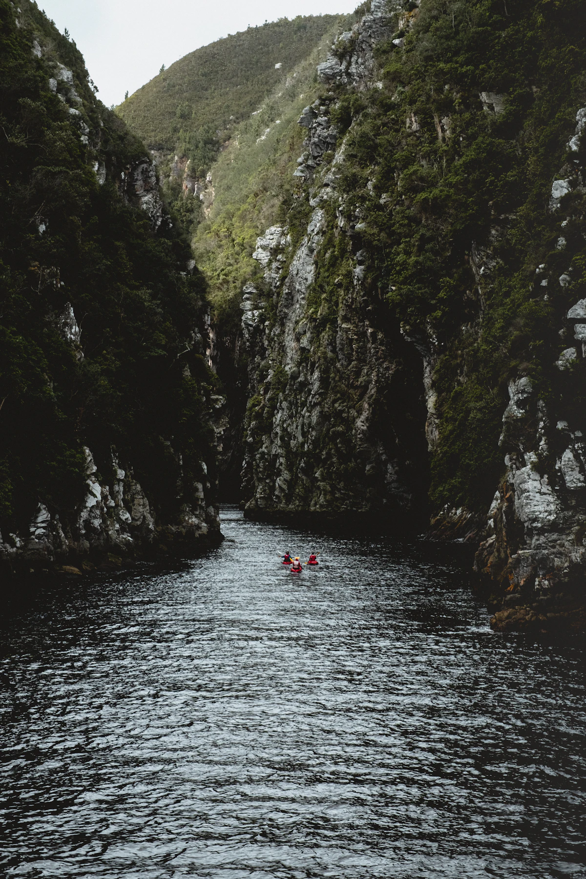 Two small red boats on a dark river between the forested cliffs of a Tsitsikamma gorge