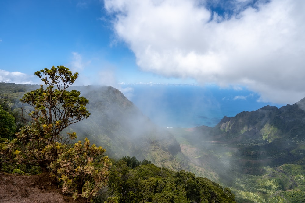 Una vista panorámica de un valle con montañas al fondo