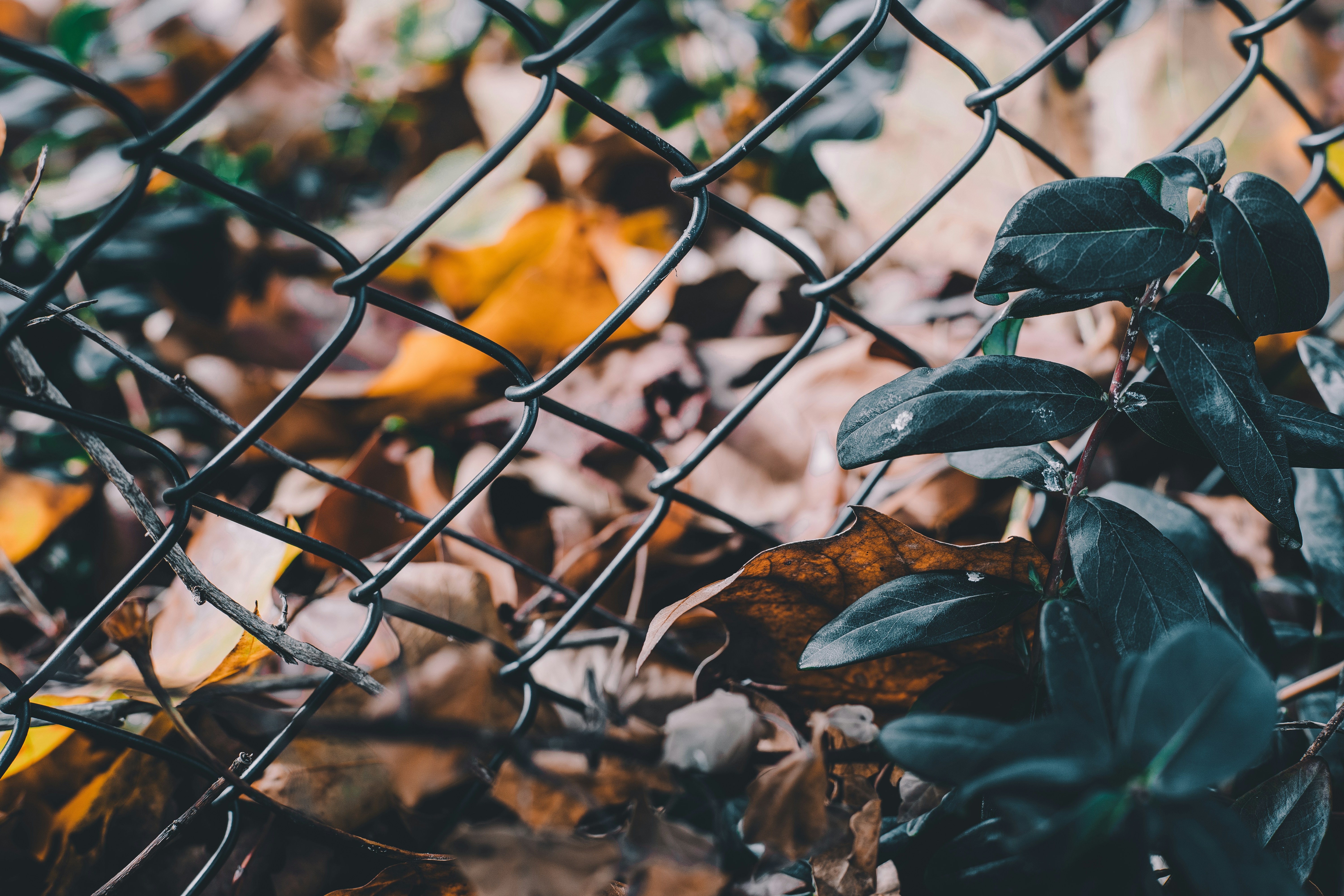 Photo by nicolasjleclercq