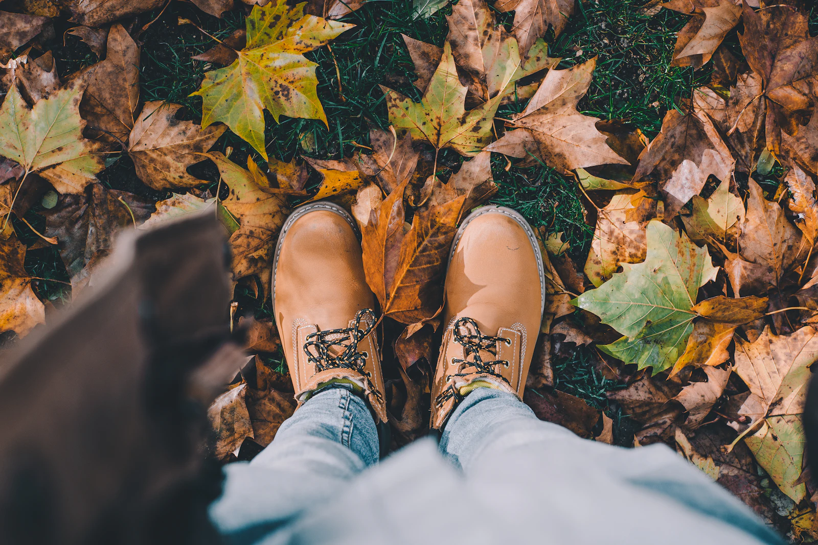 Bottes en cuir brun dans les feuilles mortes