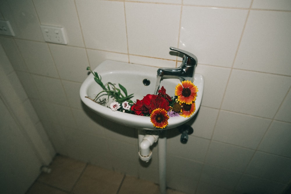 varietà di fiori in lavabo con piedistallo in ceramica bianca