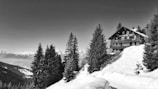 A scenic view of a snow-covered mountainous landscape featuring a large wooden cabin nestled among pine trees. The sky is clear, contributing to a serene and tranquil setting. The distant mountain peaks are visible on the horizon, adding depth to the scene.