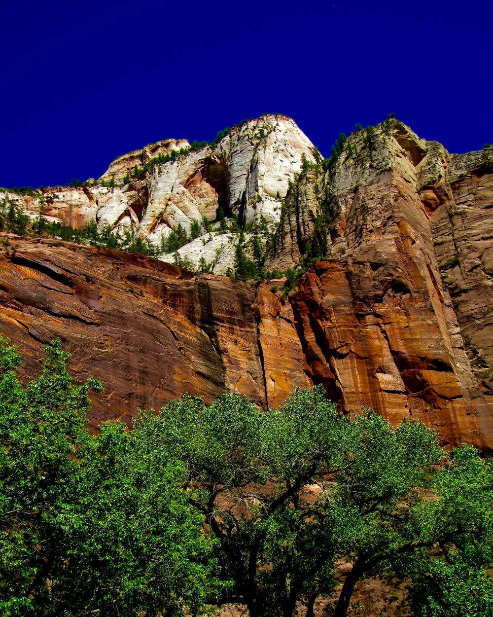 white and brown rock hill