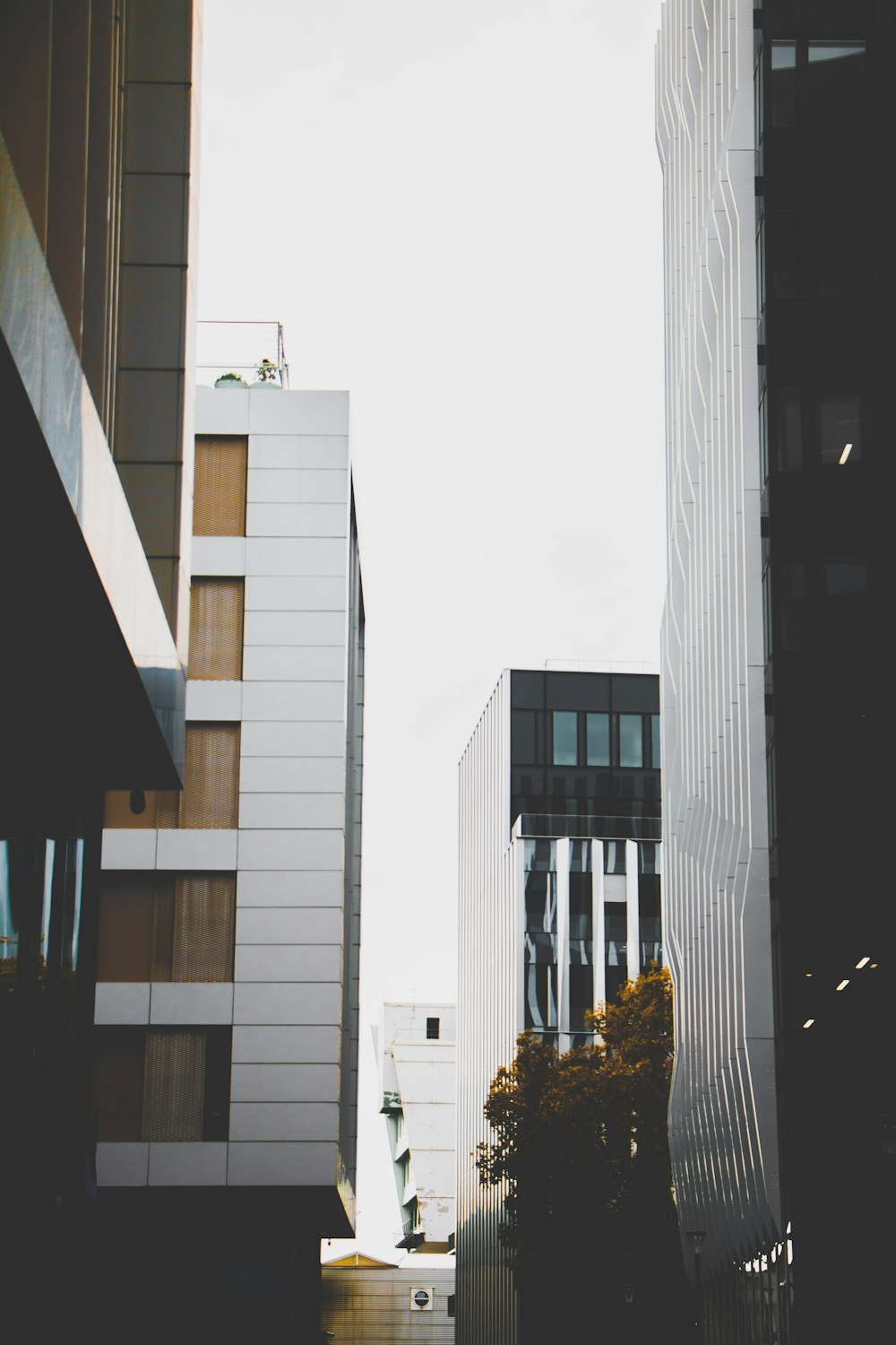 high rise buildings at daytime