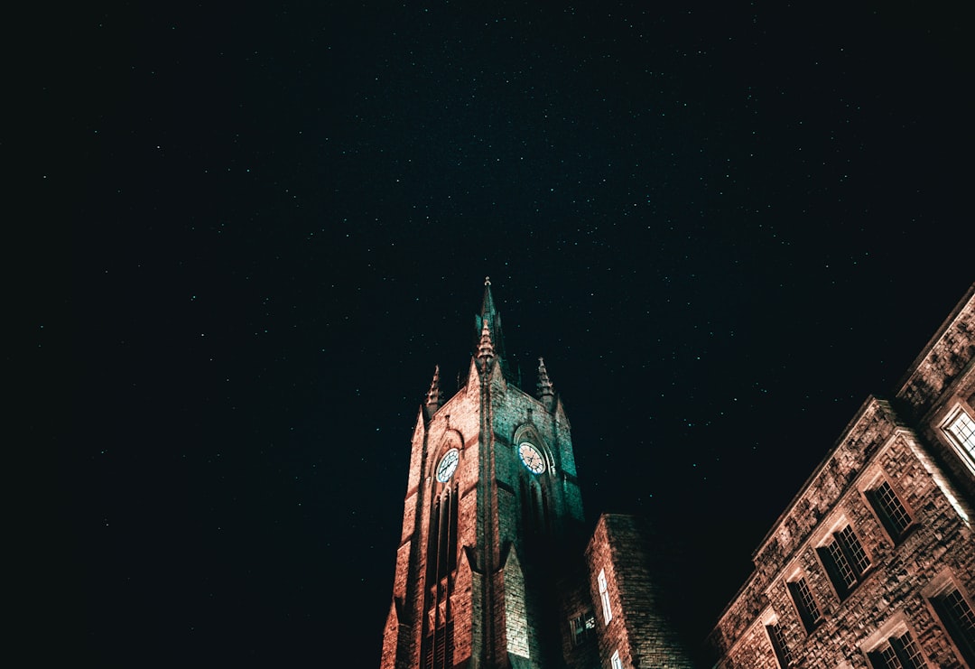 brown concrete cathedral,