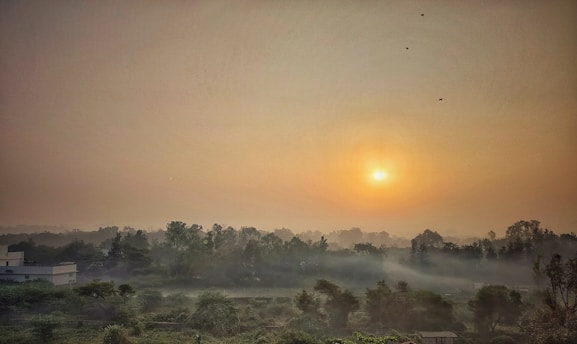 A serene view of a vibrant wakaf garden in Sidoarjo at sunrise.