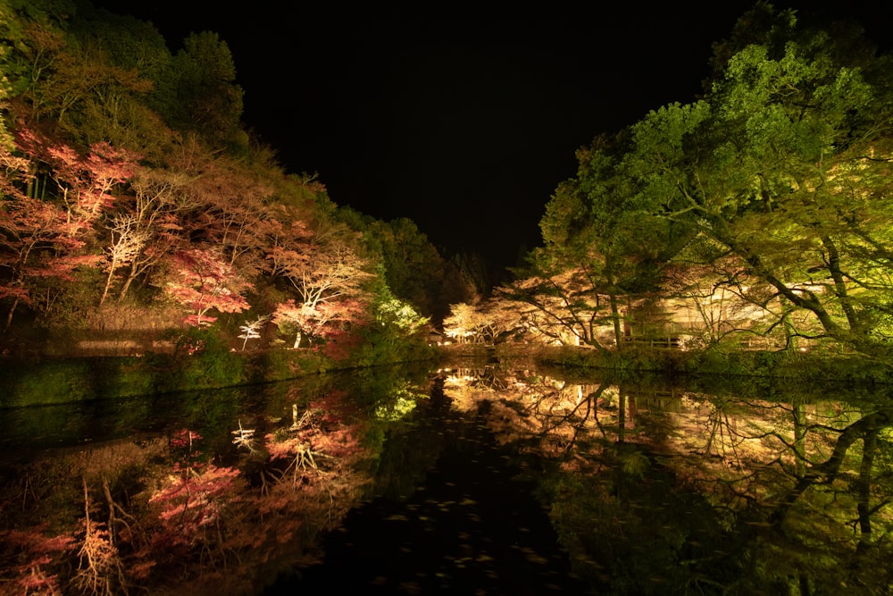 body of water beside green trees