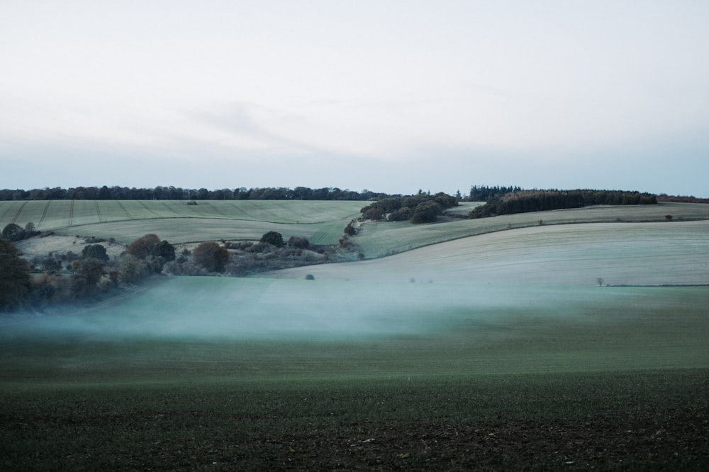 a foggy field with trees in the distance