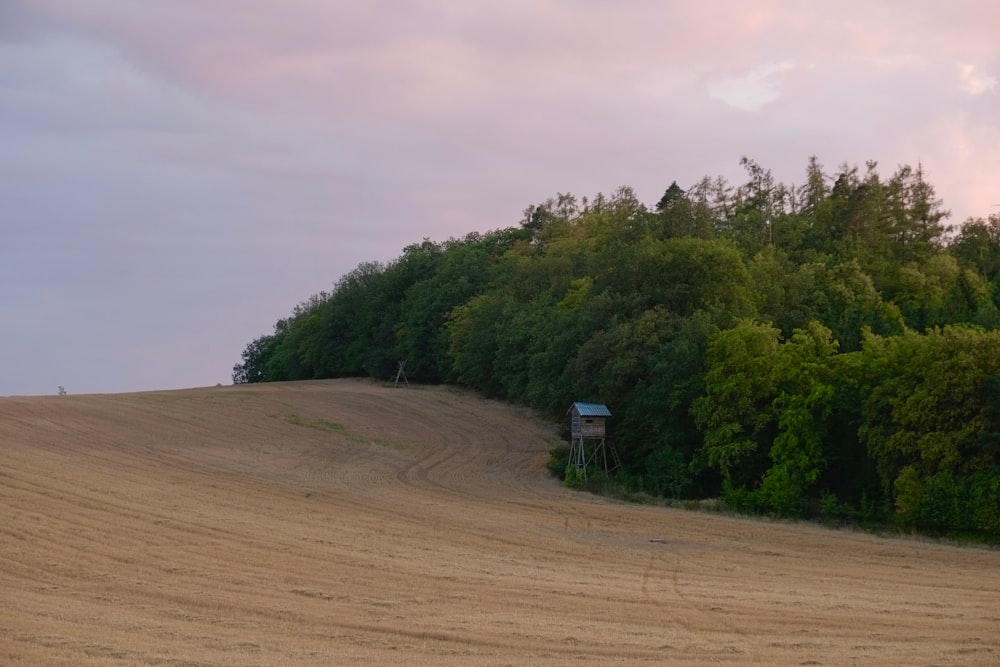 trees near watch tower in edge of clearing