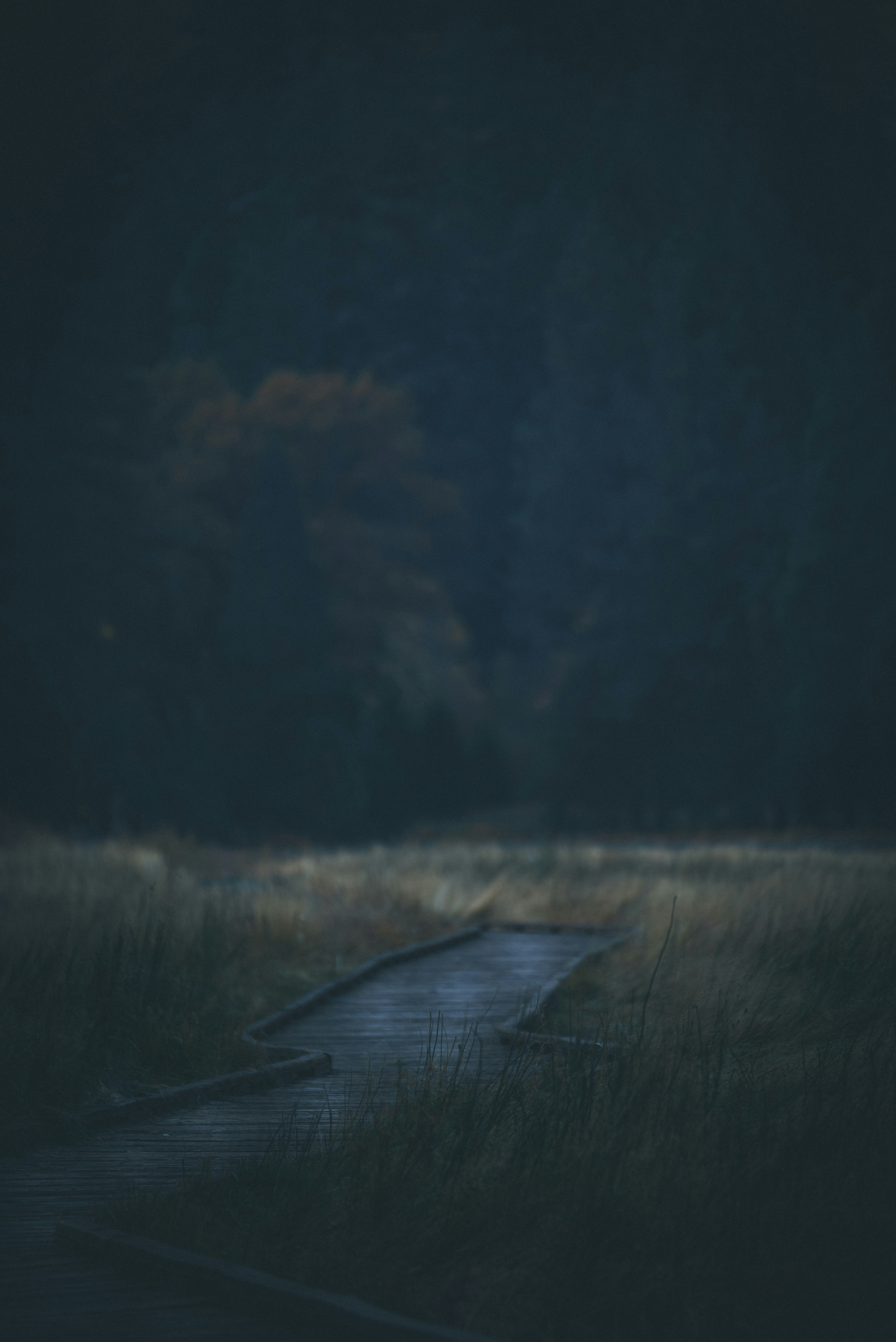photo-1541874693669-9ba8daaee00c?ixid=M3