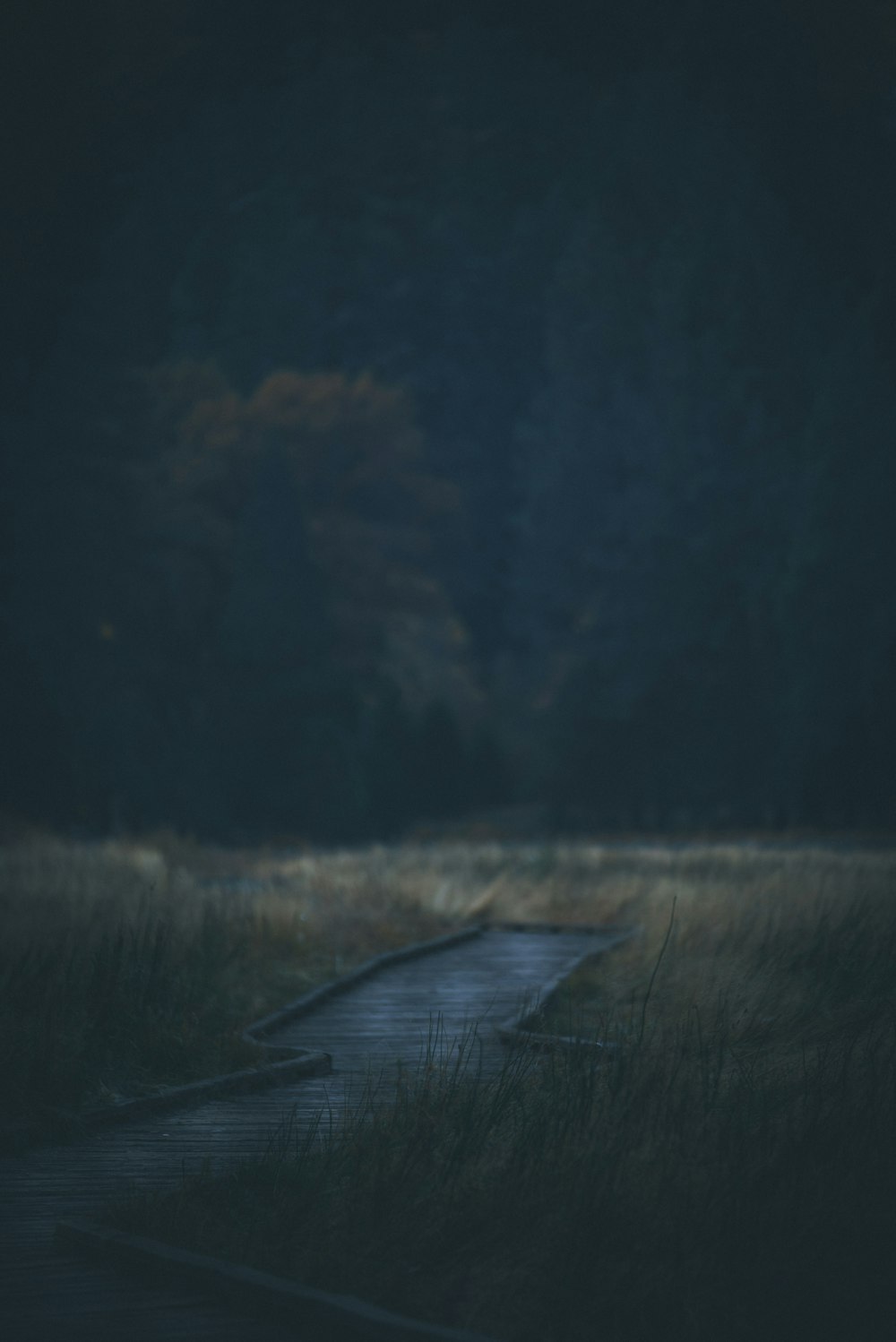 a wooden walkway in a grassy field at night