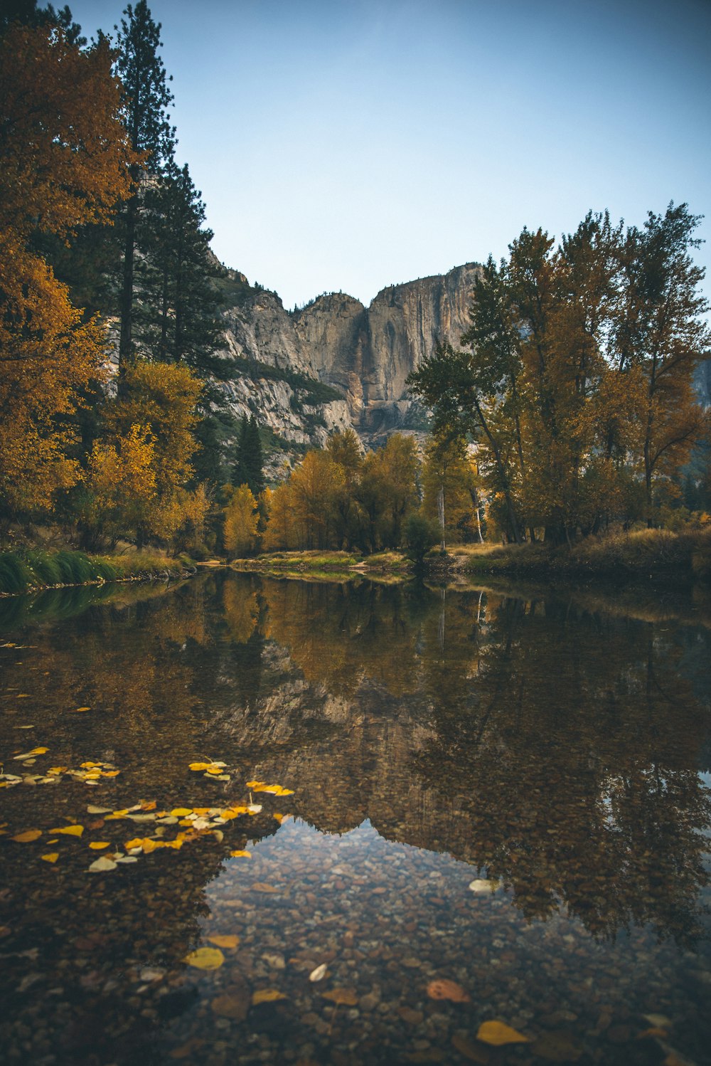 landscape photography of lake surrounded with trees