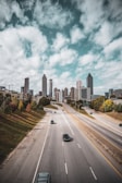 cars passing near green trees away from city building