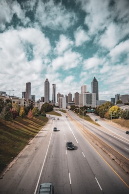 cars passing near green trees away from city building
