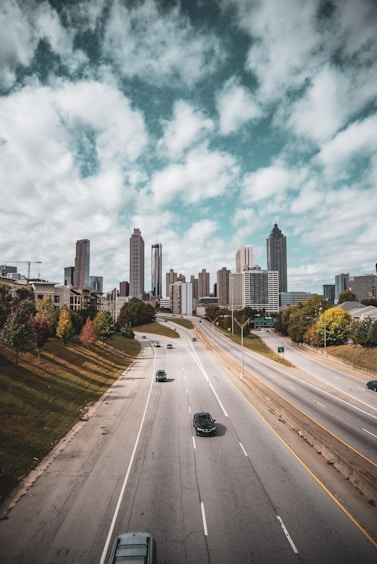 cars passing near green trees away from city building