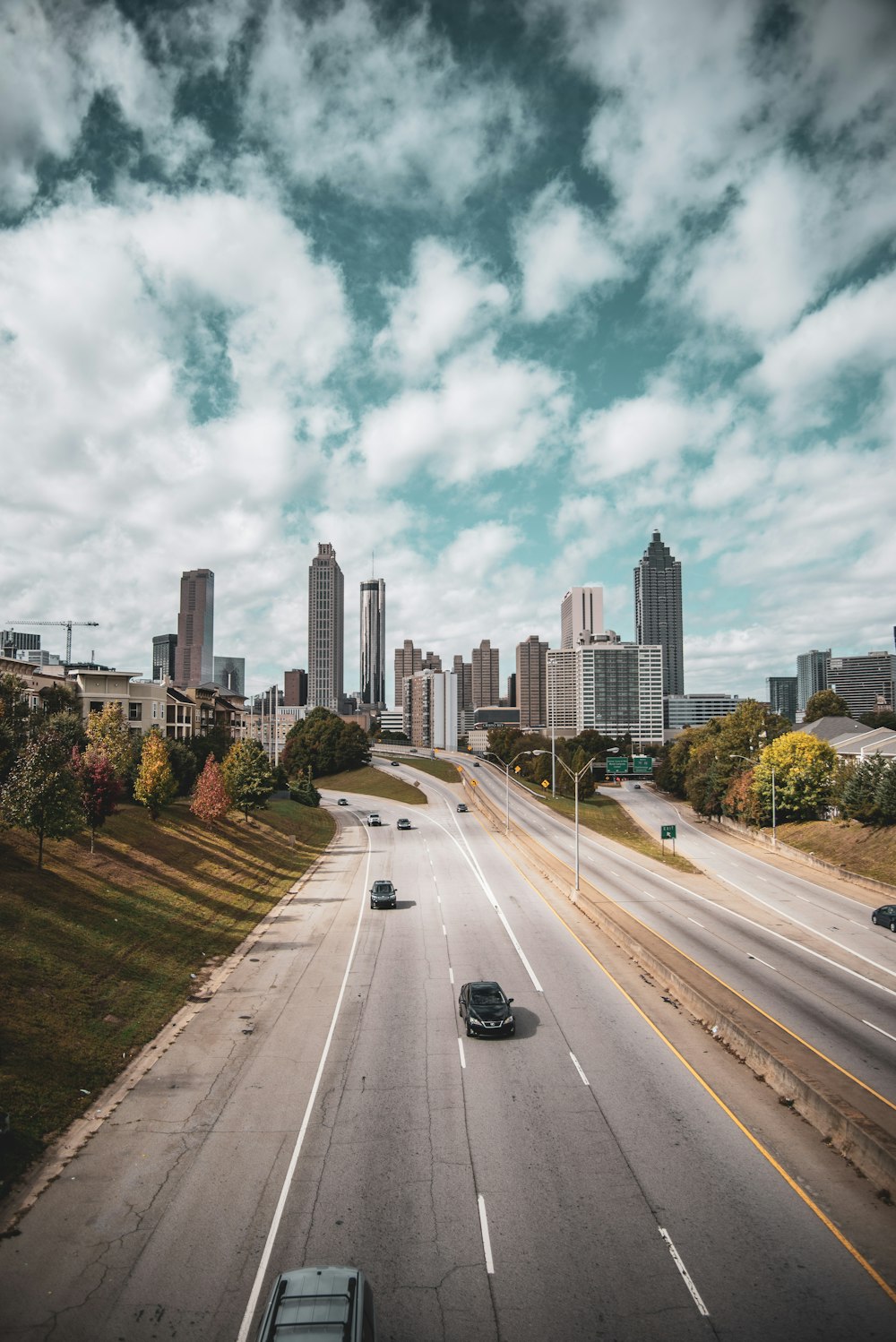 cars passing near green trees away from city building