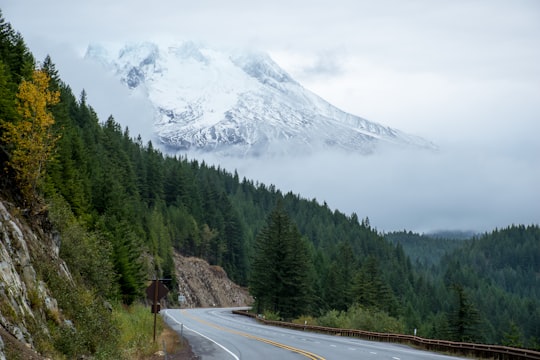 road beside cliff in Mount Hood United States