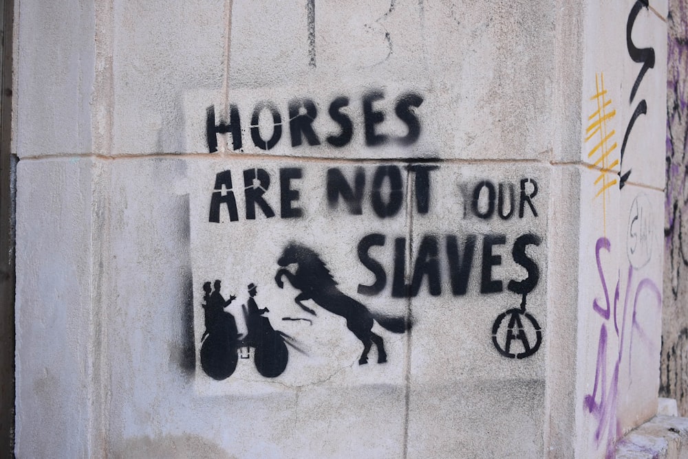 Les chevaux ne sont pas nos esclaves