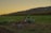 A piece of agricultural machinery, likely a plow, is positioned on lush green farmland during what appears to be early evening. The background shows rolling hills with patches of trees, and a clear sky transitioning from yellow near the horizon to a deeper shade above.