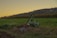 A piece of agricultural machinery, likely a plow, is positioned on lush green farmland during what appears to be early evening. The background shows rolling hills with patches of trees, and a clear sky transitioning from yellow near the horizon to a deeper shade above.