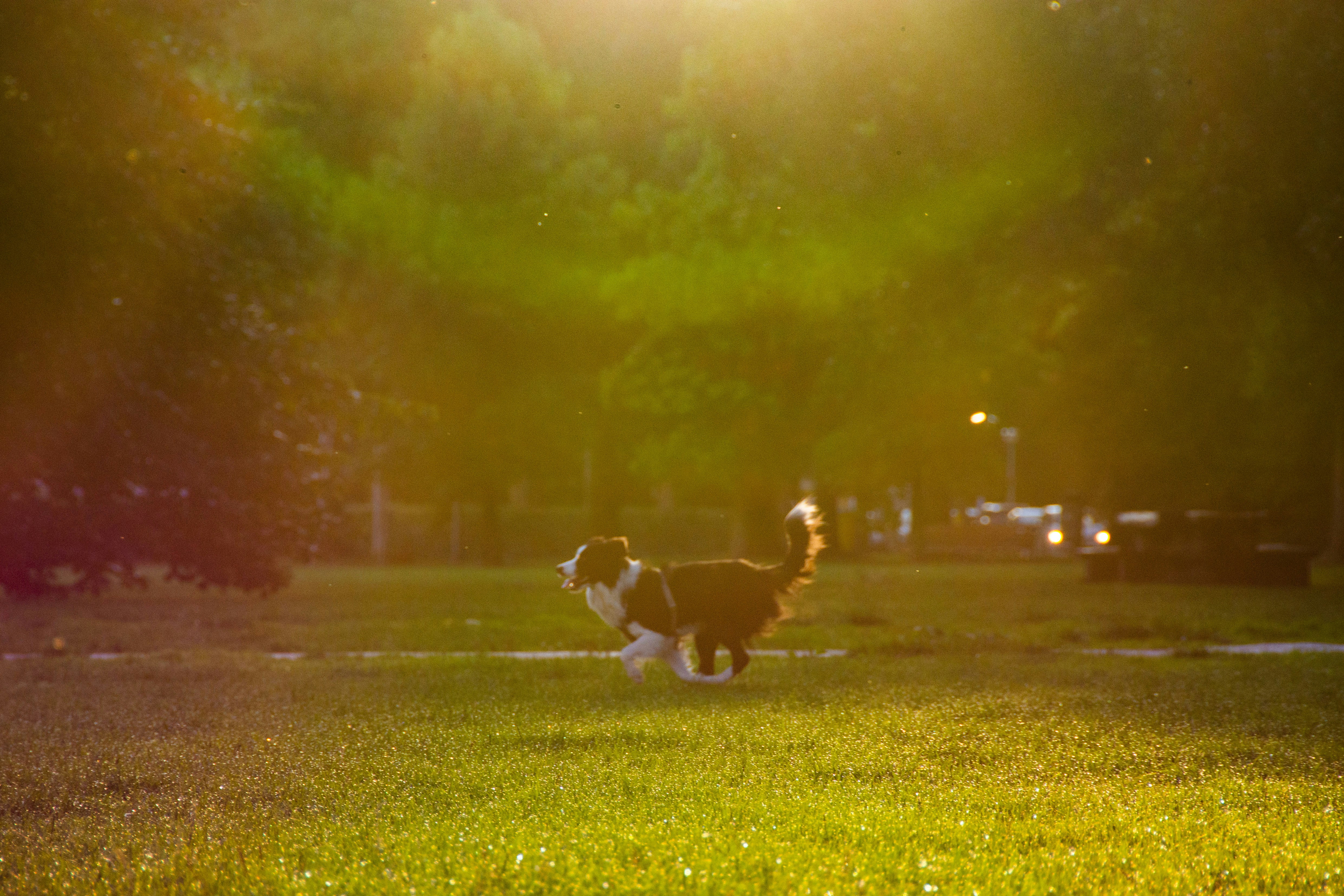 Photo by neural_notworks