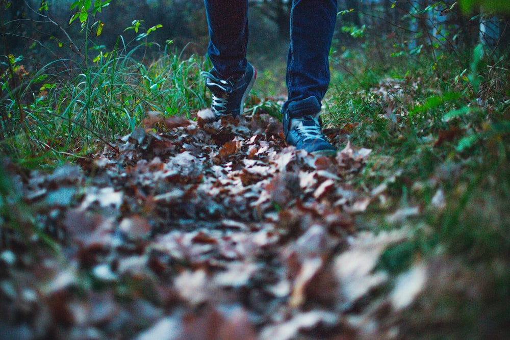 person walking on leaves covered pathway