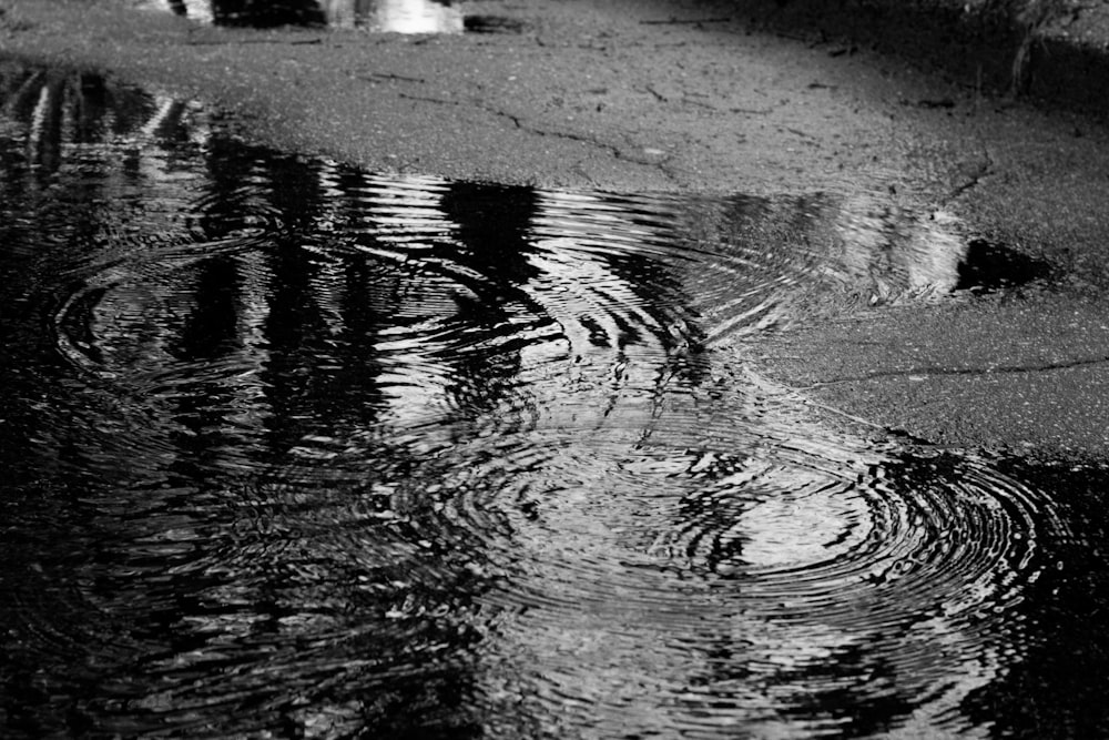 grayscale photography of water