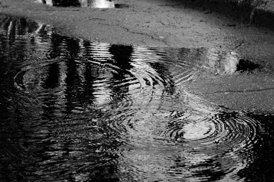 grayscale photography of water in Kaliningrad Russia